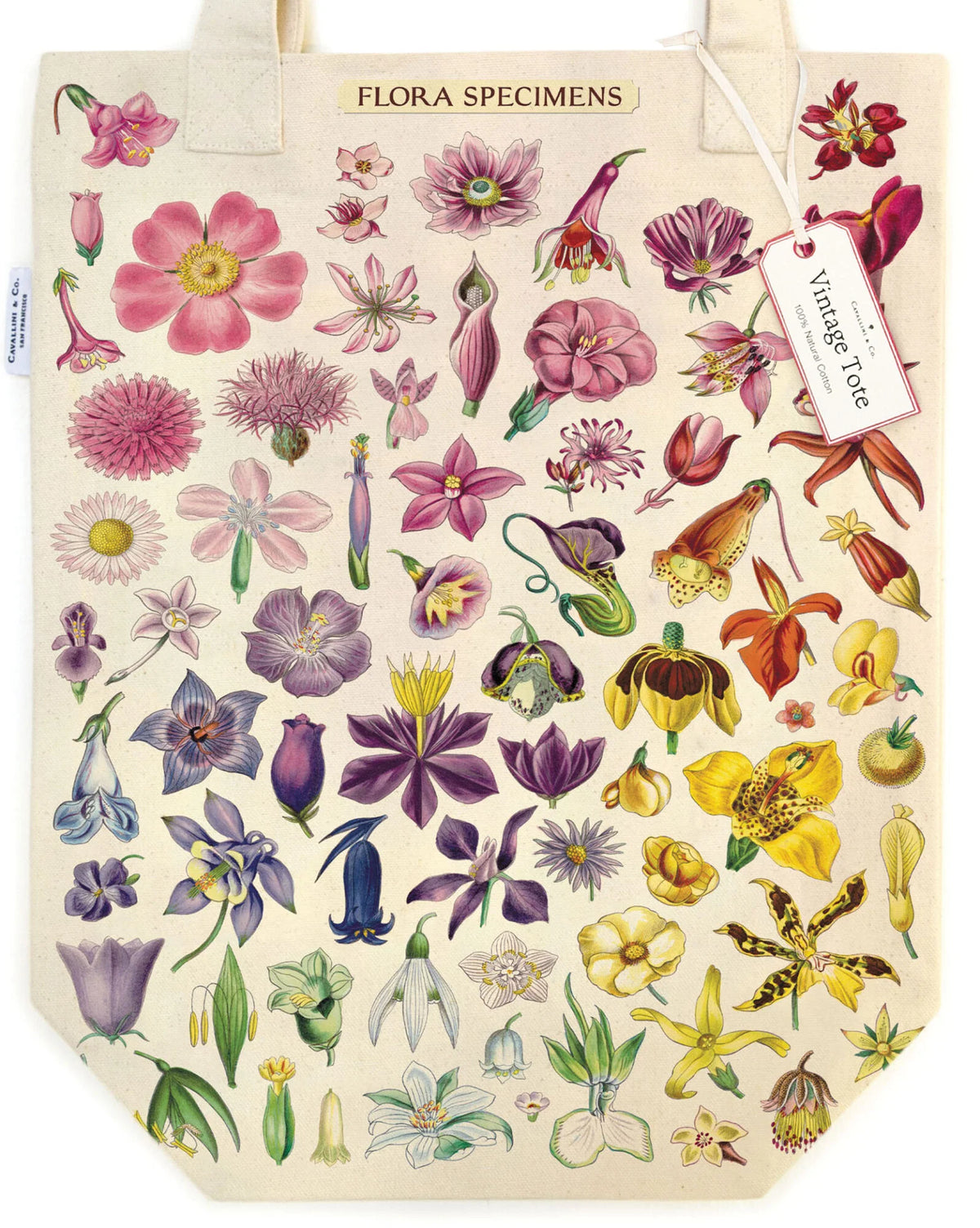 Tote Bag Flora Specimens