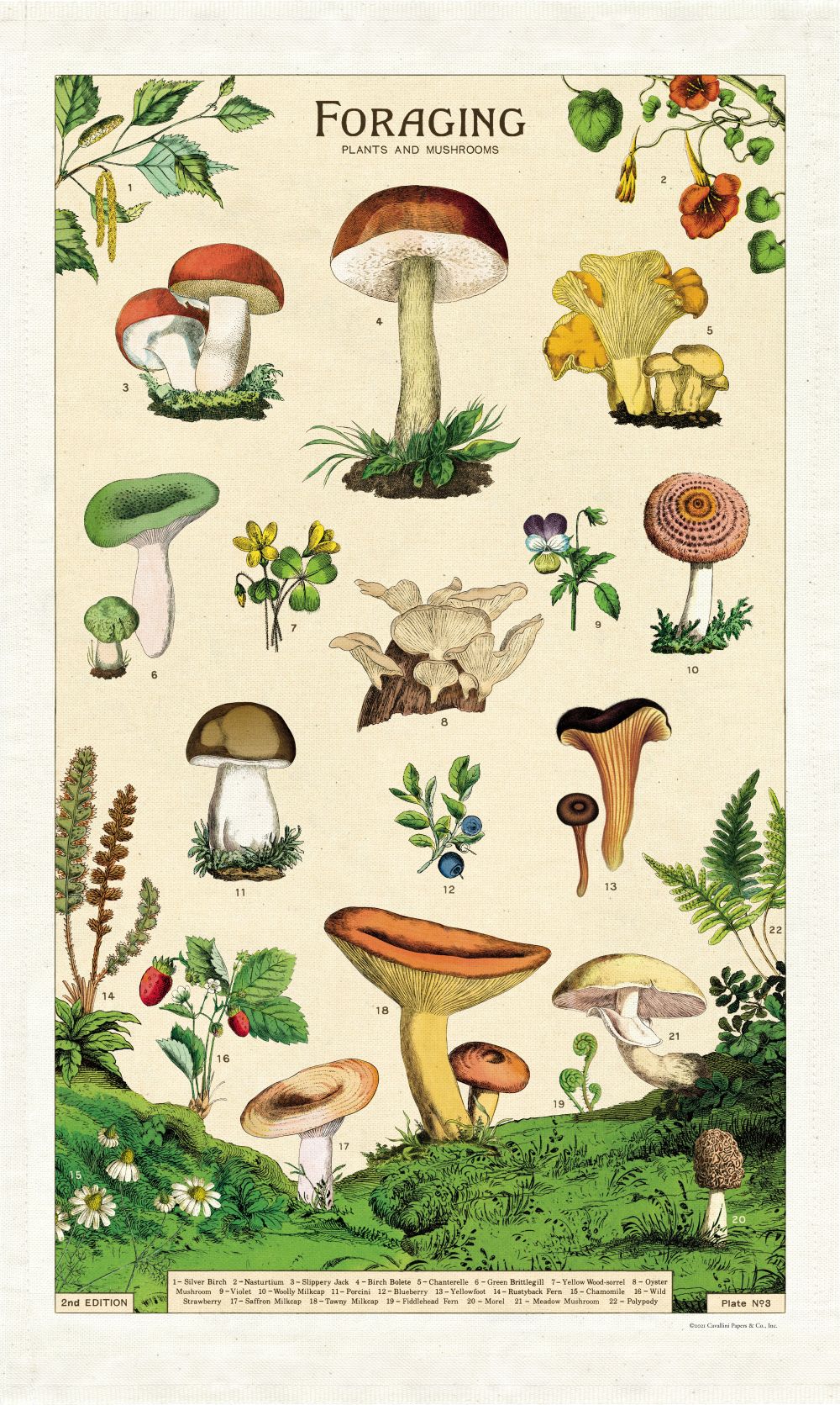 Tea Towel Mushroom Foraging