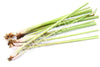 Lemon Grass Cuttings