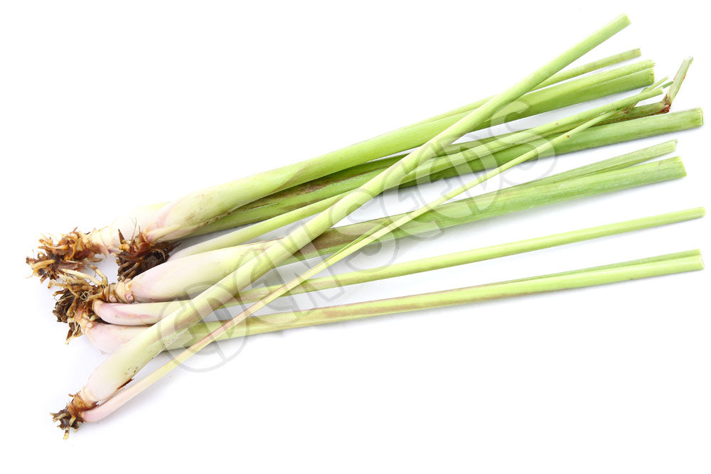 Lemon Grass Cuttings