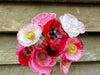 Poppy Mix Poppy Mix Seeds