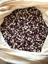 Bean Climbing Frost Organic Seeds
