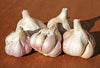 Garlic Italian Pink Organic