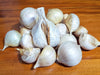 Garlic Giant Russian Organic Seeds