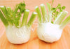 Fennel Montebianco Seeds