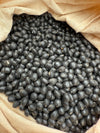 Soy Bean Black Organic Seeds