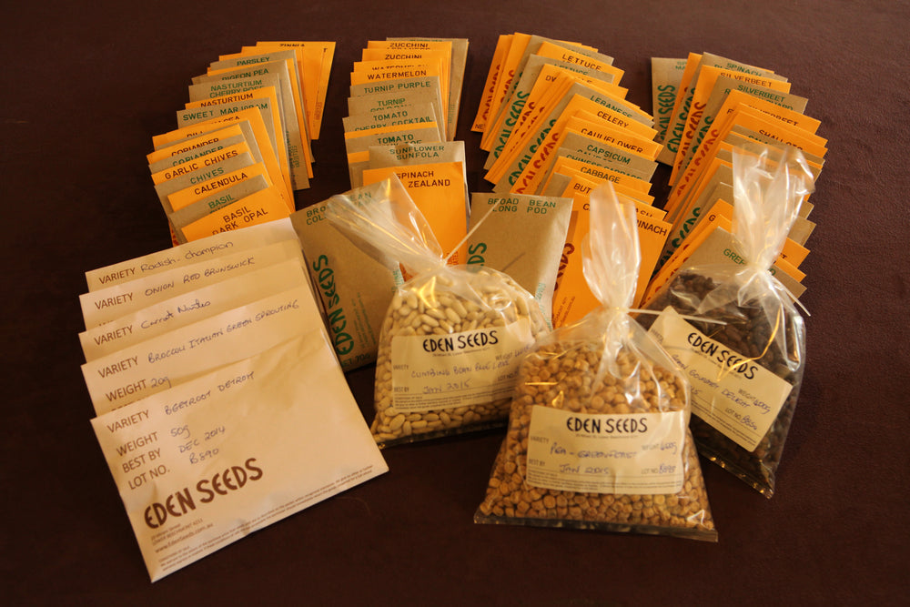 Towards Self Sufficiency Seed Collection Special