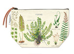 Pouch Ferns