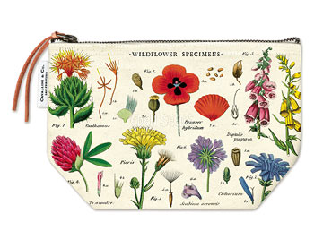 Pouch Wildflower Specimens