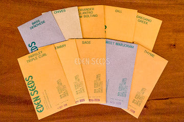 Kitchen Herbs Pack Of 10