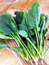 Spinach English Organic Seeds