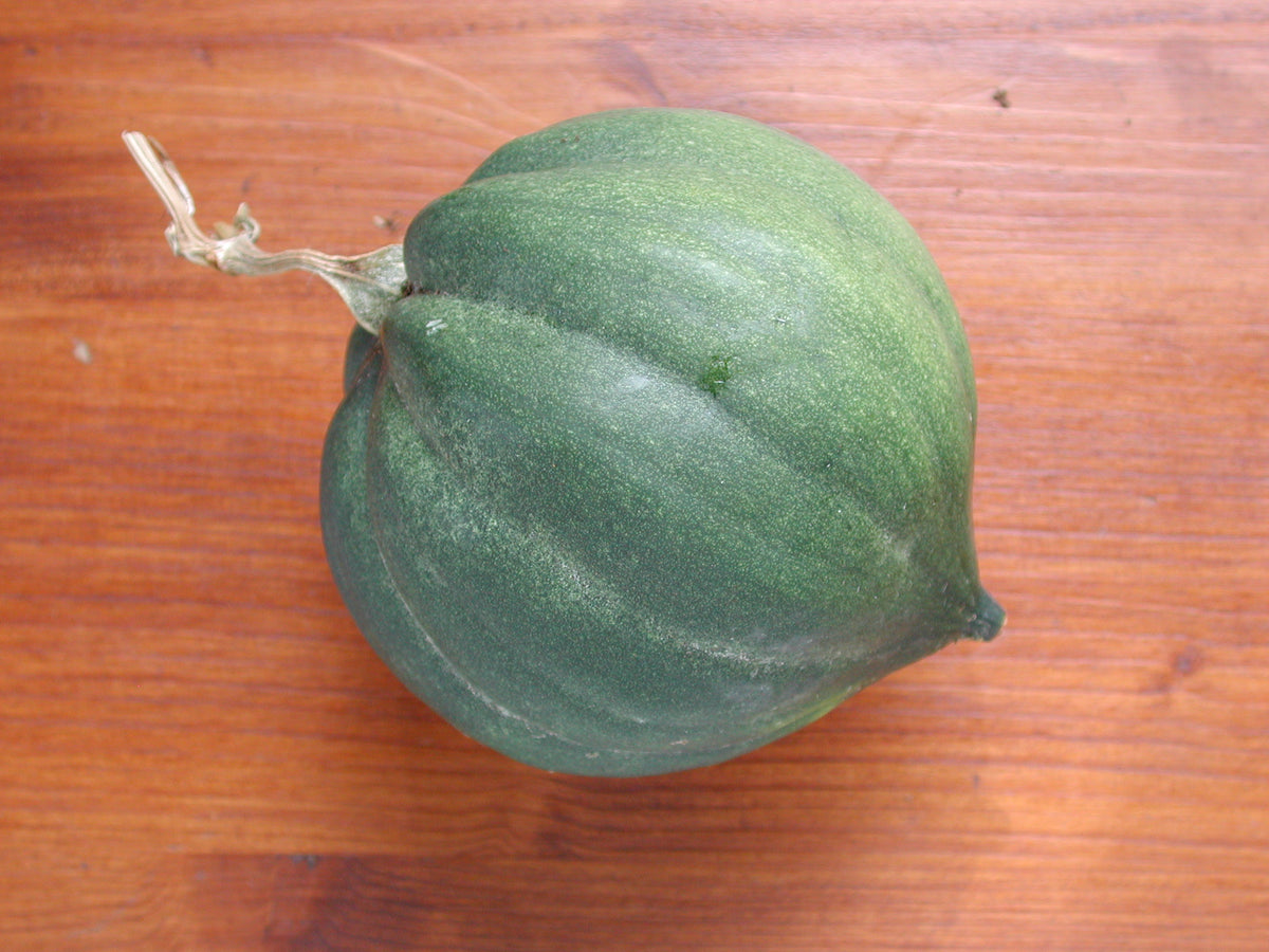 Squash Winter Table Queen Organic Seeds