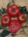 Tomato Brandywine Organic Seeds