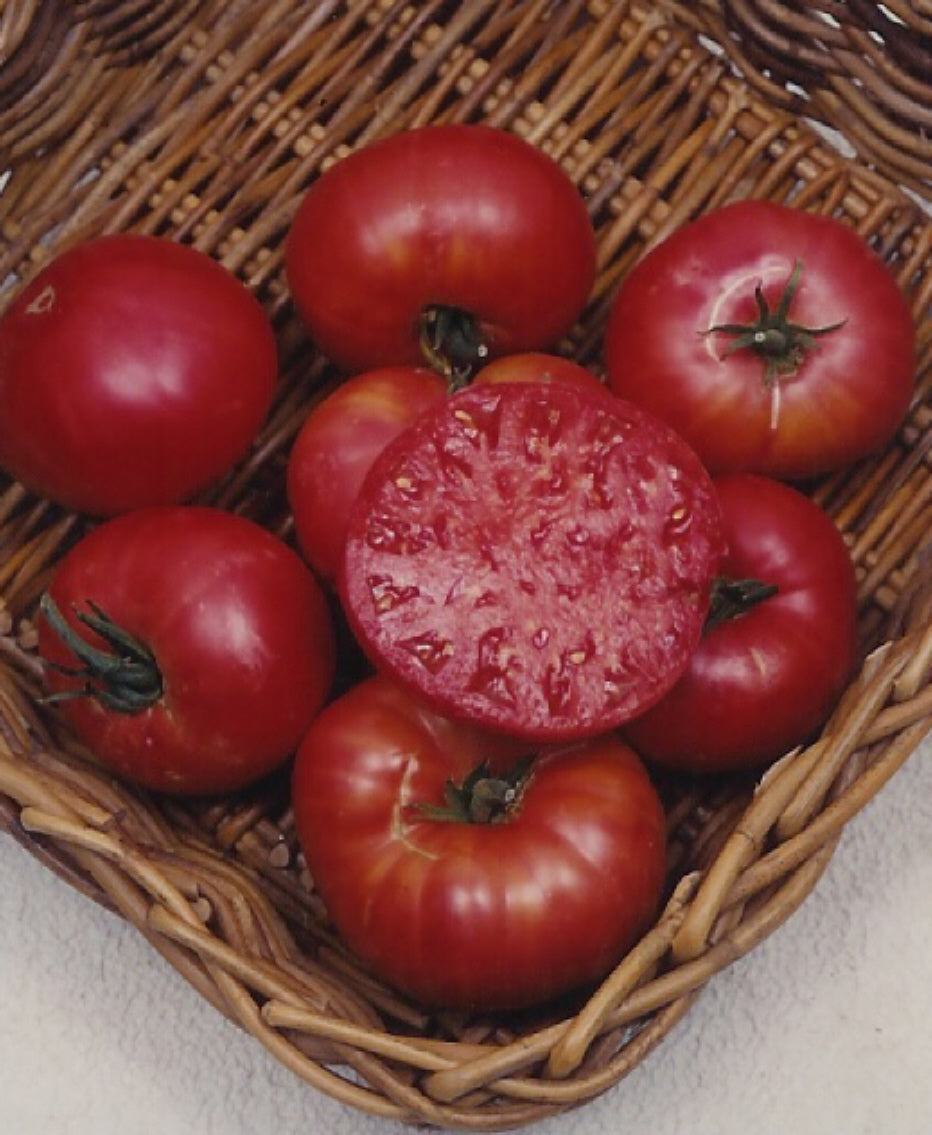 Tomato Mortgage Lifter Seeds
