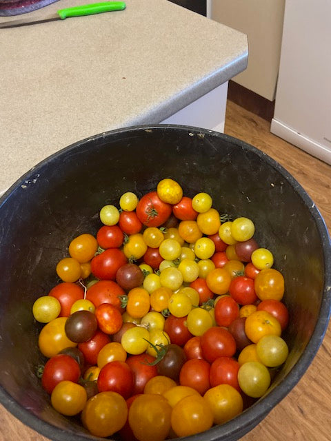 Tomato Cherry Mix Seeds