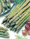Asparagus Connovers Colossal Seeds