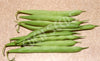 Bean Bush Brown Beauty Seeds