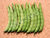 Bean Bush Double Princess Seeds