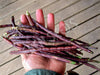 Bean Bush Snake Bean Dwarf Burgundy Seeds