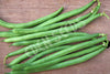 Bean Bush Jade Seeds