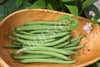 Bean Bush Provider Seeds