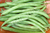 Bean Climbing Kentucky Wonder Brown Seeds