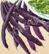 Bean Climbing Purple King Organic Seeds