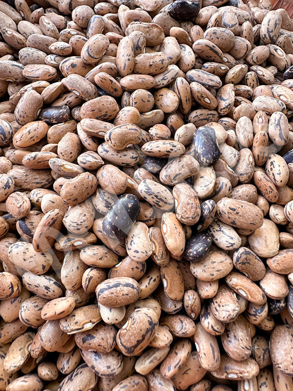 Bean Climbing Rattlesnake Seeds