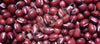 Adzuki Bean Seeds