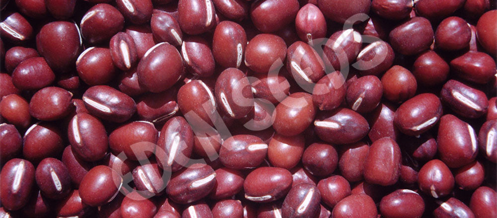 Adzuki Bean Seeds
