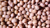 Soy Bean White Seeds