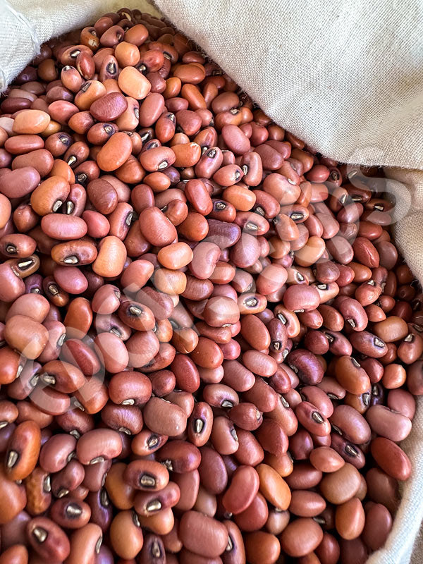 Cow Pea Seeds
