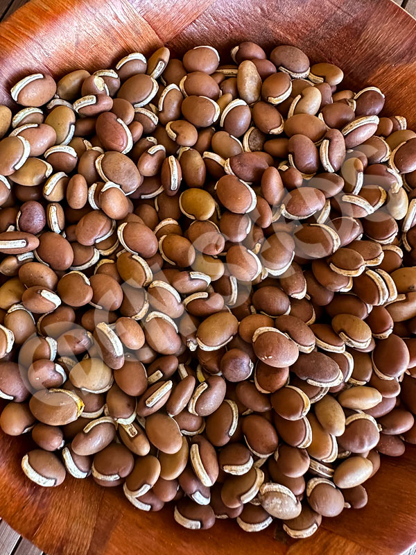Lab Lab Bean Rongai Seeds