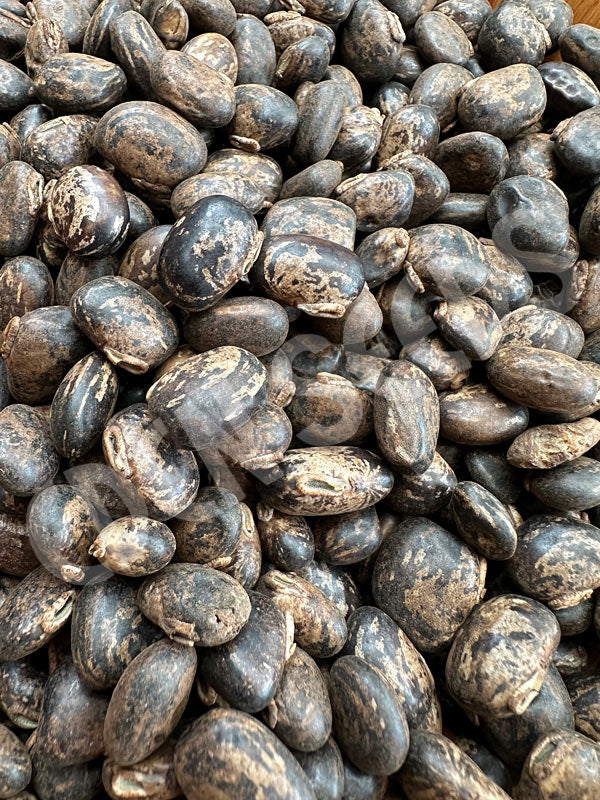Bean, Velvet Seeds