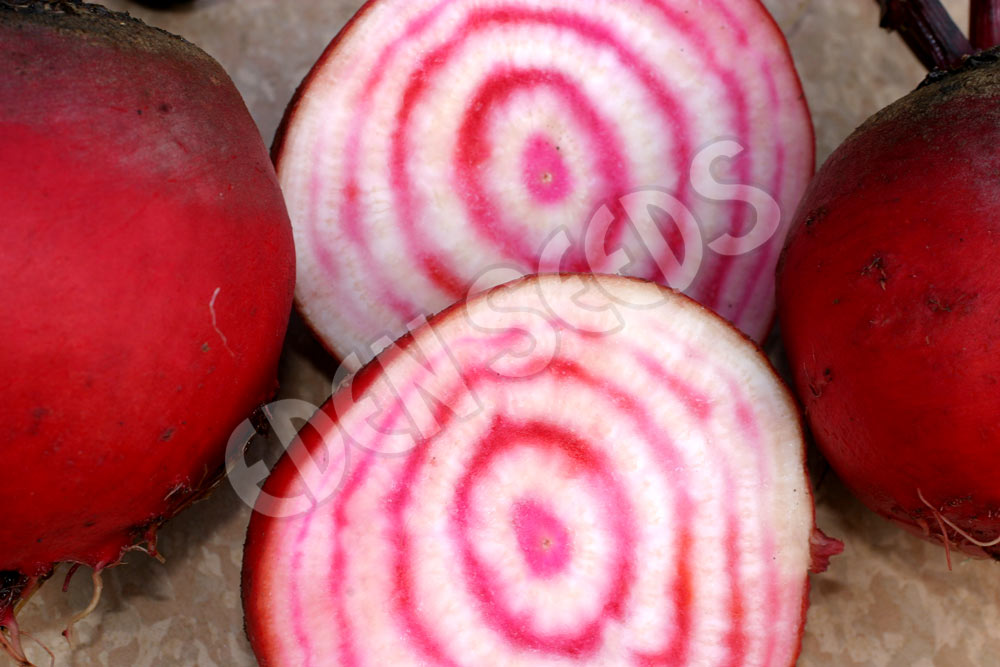 Beetroot Chioggia Seeds