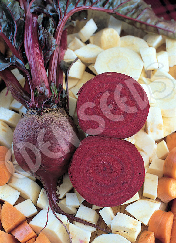 Beetroot Detroit Seeds
