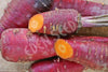 Carrot Purple Dragon Seeds
