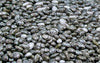Chia Black Organic Seeds