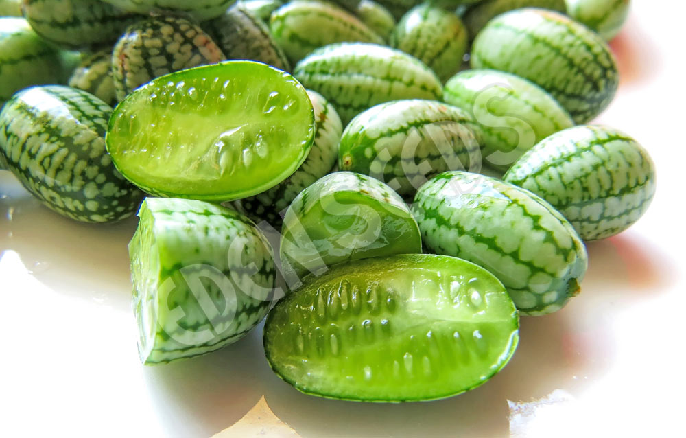 Cucamelon Seeds