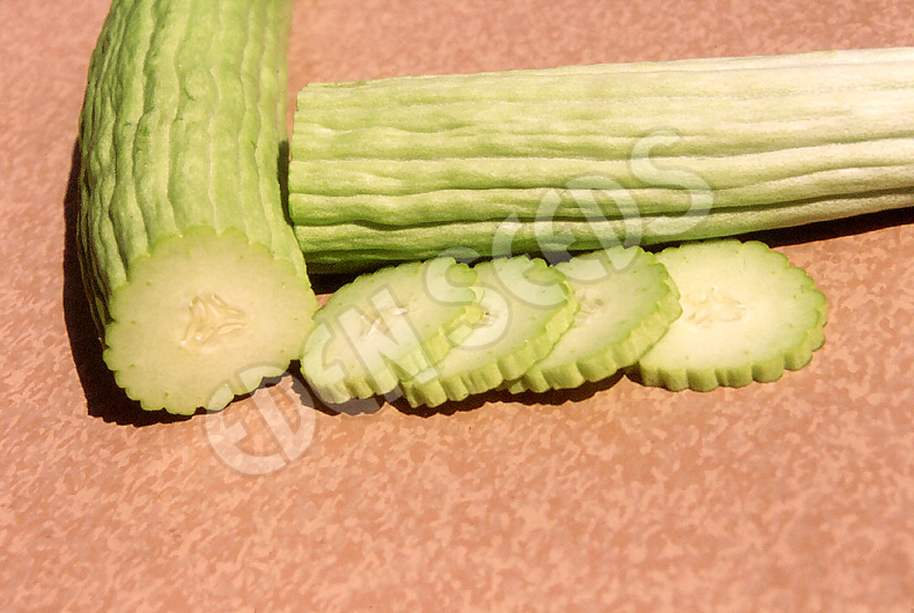 Cucumber Armenian Seeds