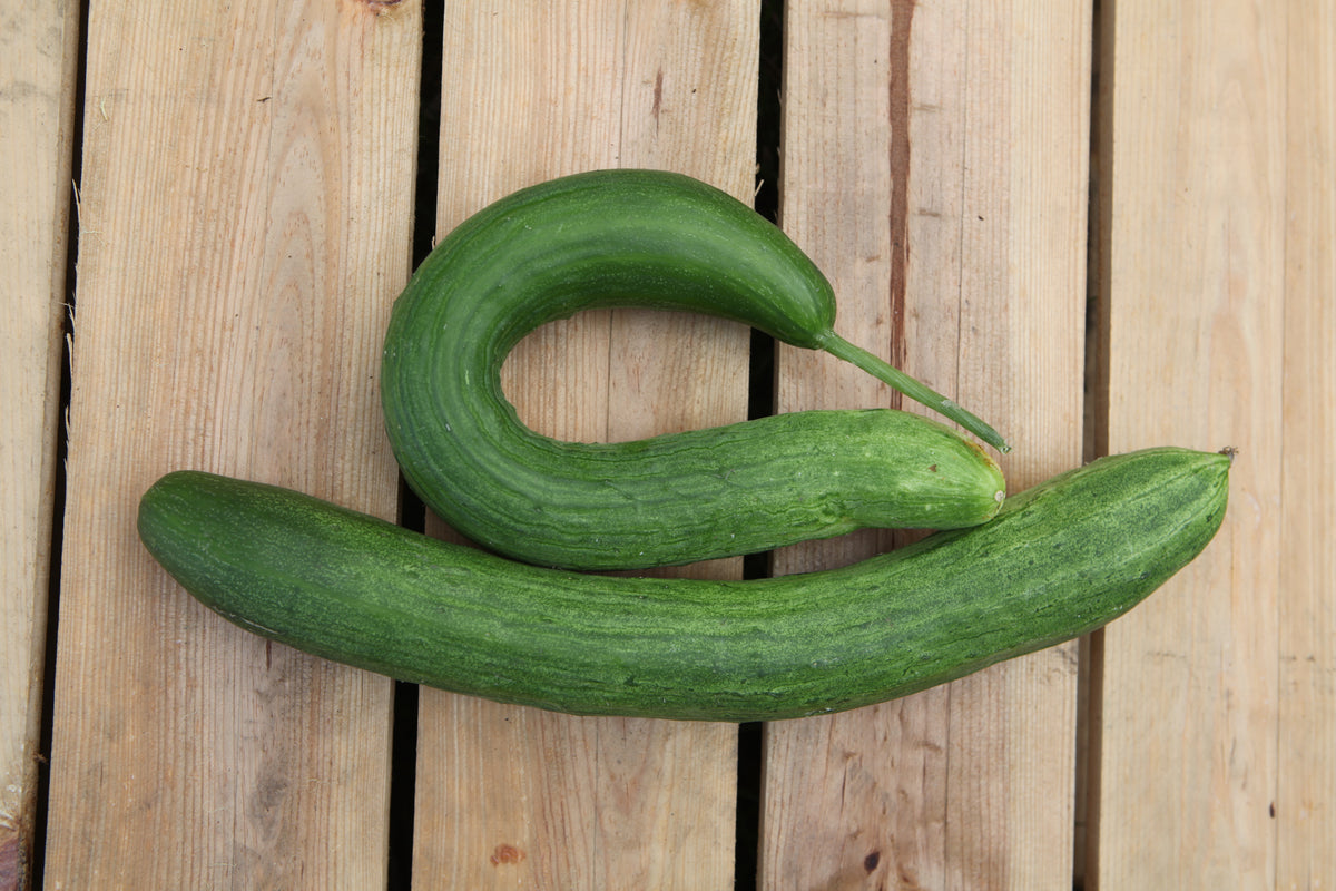 Cucumber Improved Telegraph Seeds