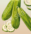 Cucumber Muncher Burpless Seeds