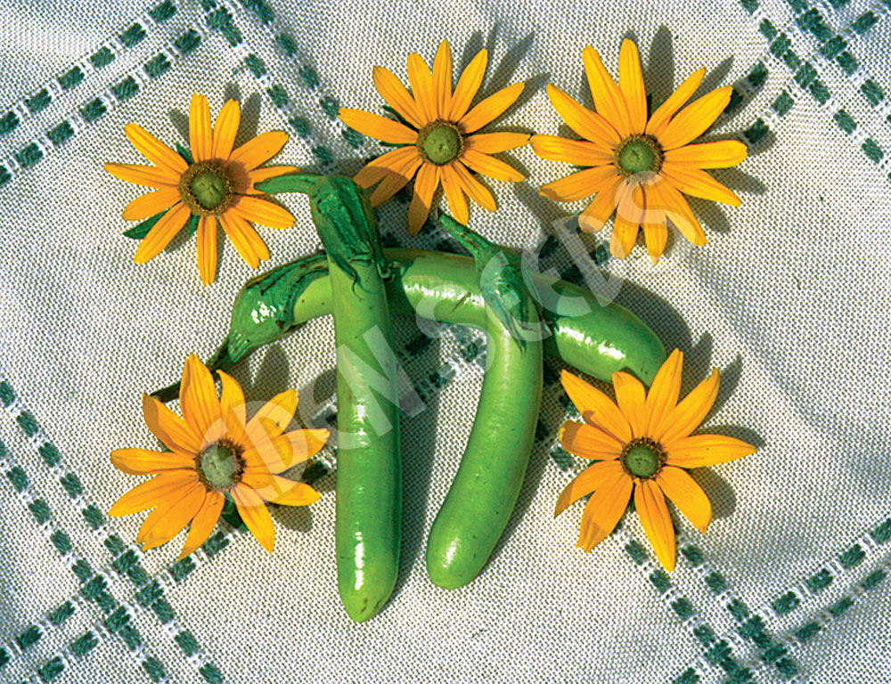 Eggplant Thai Long Green Seeds