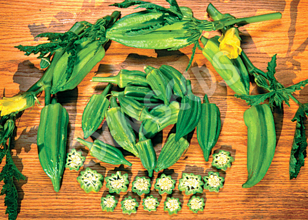 Okra Star Of David Seeds