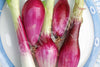 Onion Long Tropea Red Seeds