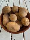 Potato Dutch Cream Seeds