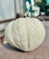 Pumpkin Blanc Du Maroc Seeds
