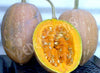 Pumpkin Gramma Seeds