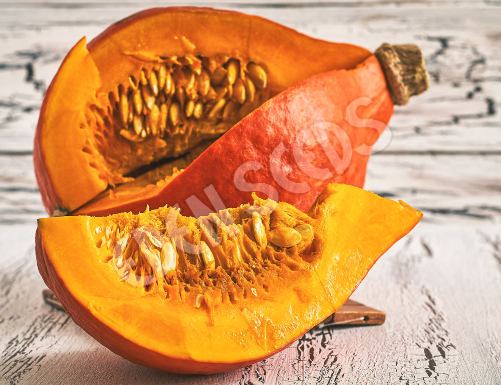 Pumpkin Kuri Red Seeds