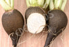 Radish Black Spanish Round Seeds
